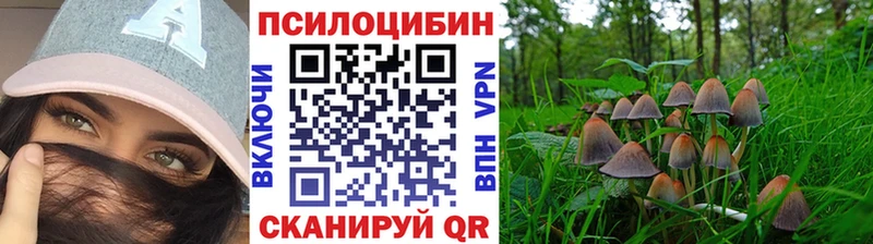 kraken онион Всеволожск Псилоцибиновые грибы MAGIC MUSHROOMS